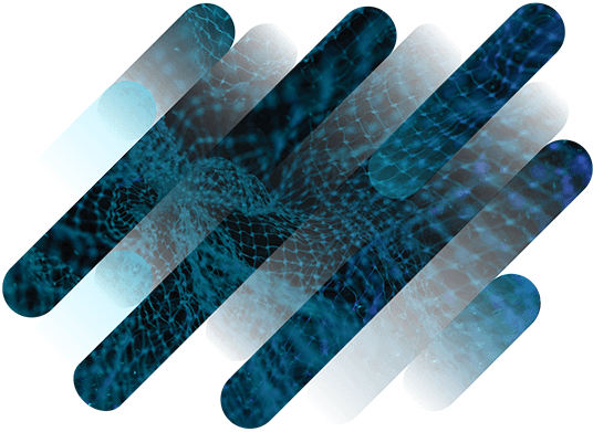 Everything you need to know about fiber optic backbone networks