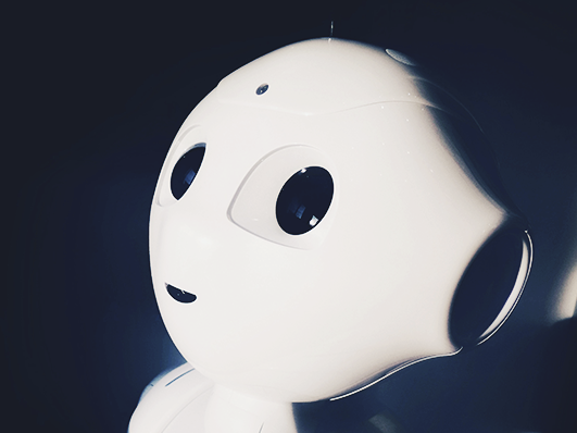 Robot