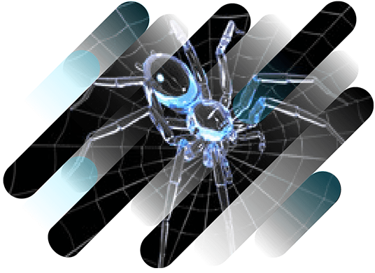 Spinne auf einem Spinnennetz