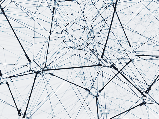 Network
