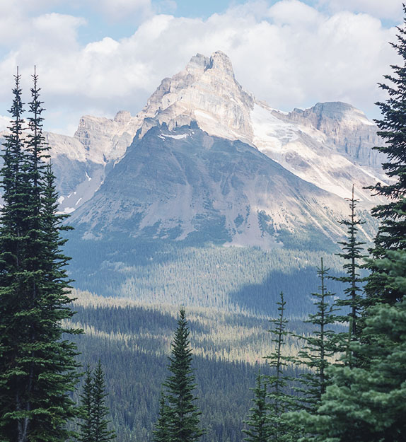 Mountains and a forest