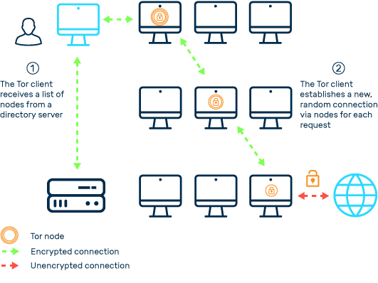 Tor network procedure