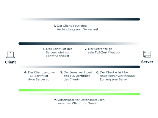 Funktionsweise mtls