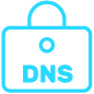 Icon Secure DNS