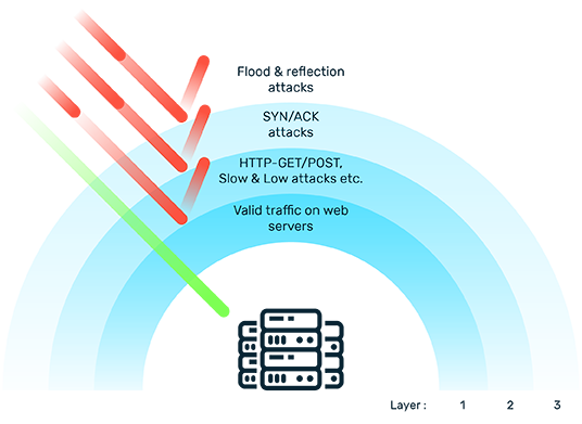 Overview of different kinds of harmful traffic