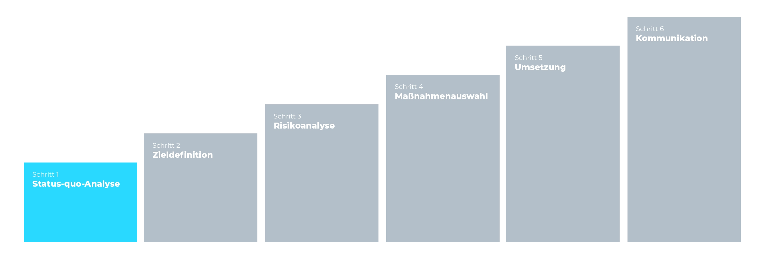 Status-quo-Analyse