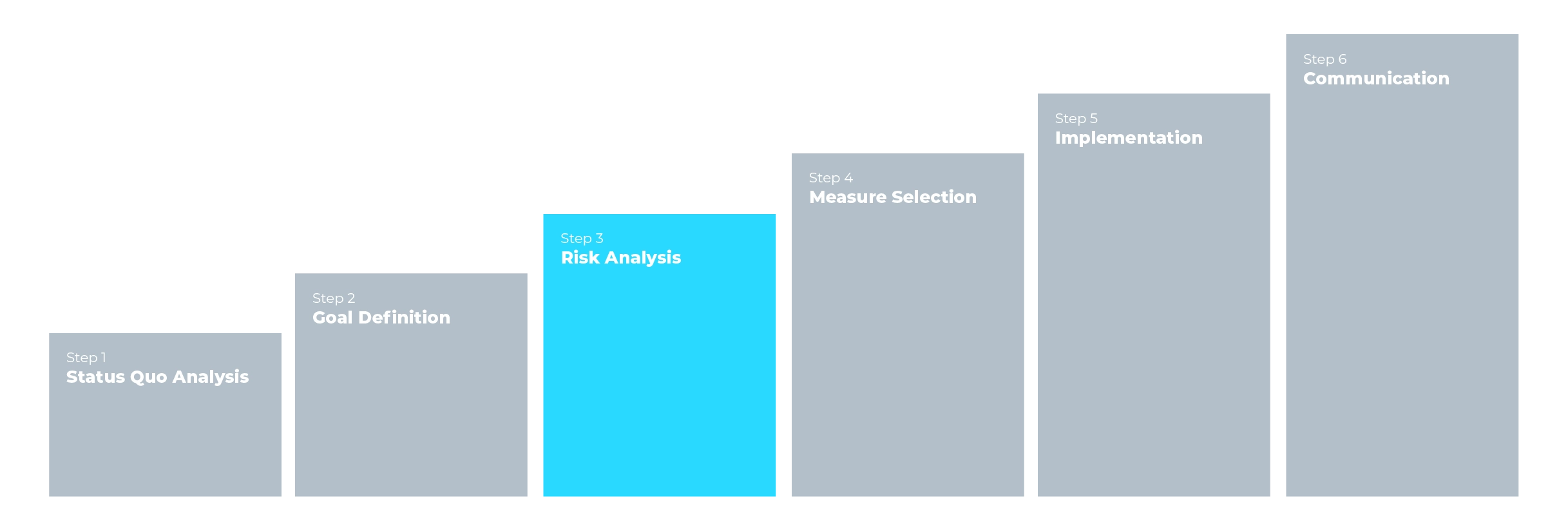 Risk Analysis
