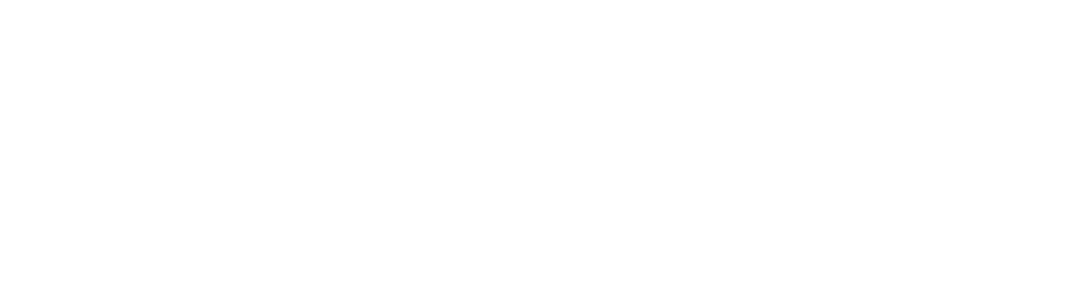 Finoa Logo