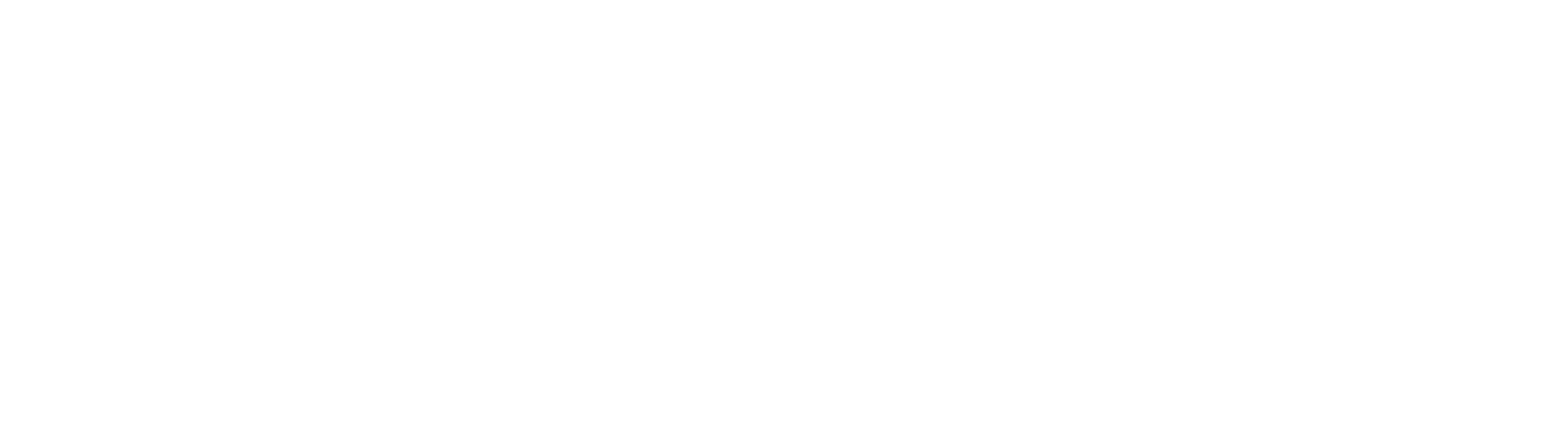 NFON Logo